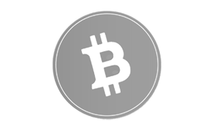 Bitcoin icon