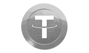ISDT icon